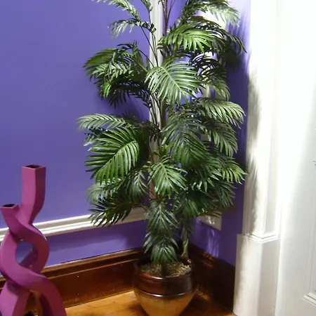 Pensionat Residencial S Juliao Al Figueira da Foz