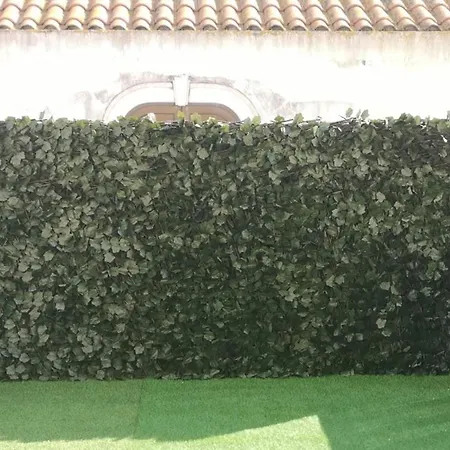 Gasthuis Residencial S Juliao Al Figueira da Foz