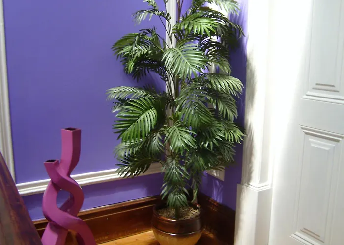 招待所 Residencial S Juliao Al 菲盖拉-达福什